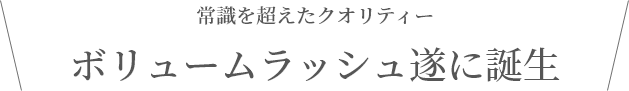 ボリュームラッシュ遂に誕生